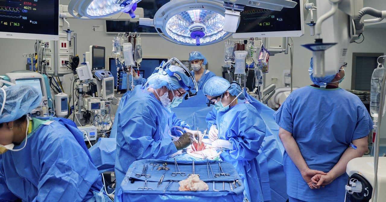 Doctors Combined a Heart Pump and Pig Kidney Transplant in Breakthrough Surgery