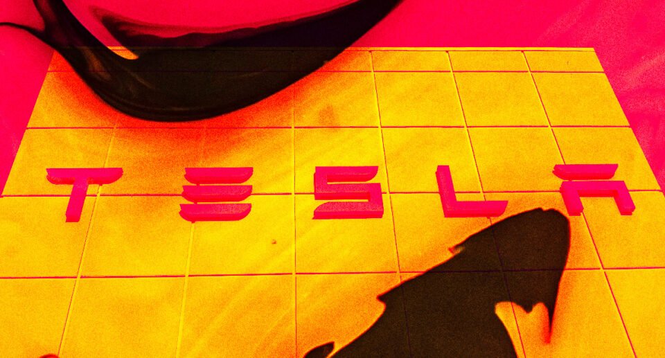 Facebook Cofounder Says Tesla Has Committed “Consumer Fraud on a Massive Scale,” Will End in Jail
