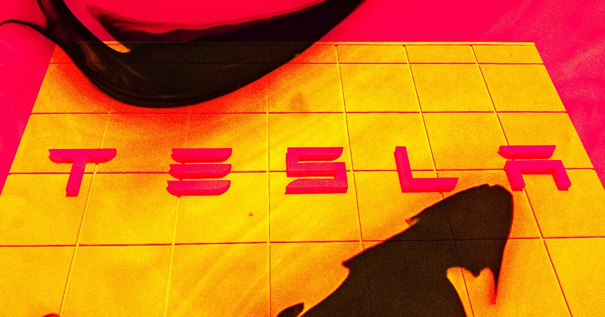 Facebook Cofounder Says Tesla Has Committed “Consumer Fraud on a Massive Scale,” Will End in Jail