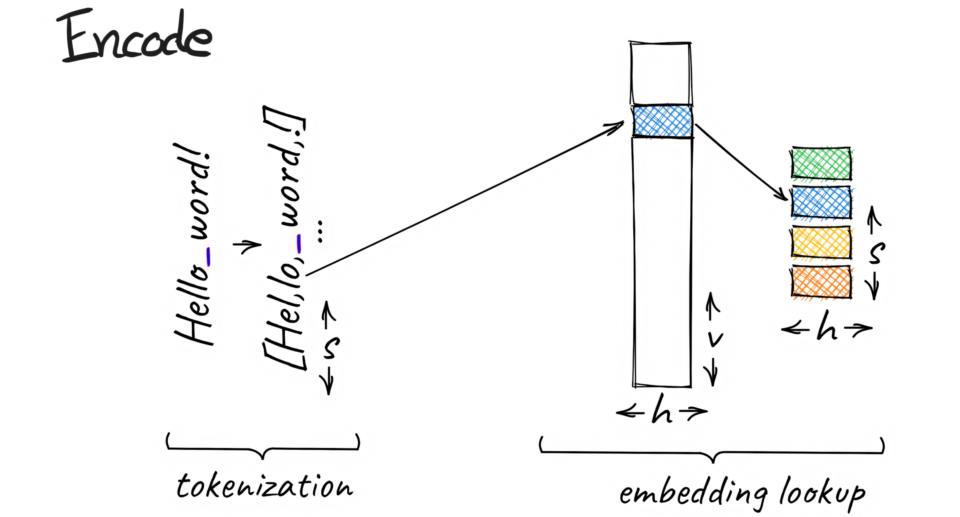 Researchers develop tokenizer-free method for more efficient AI language models