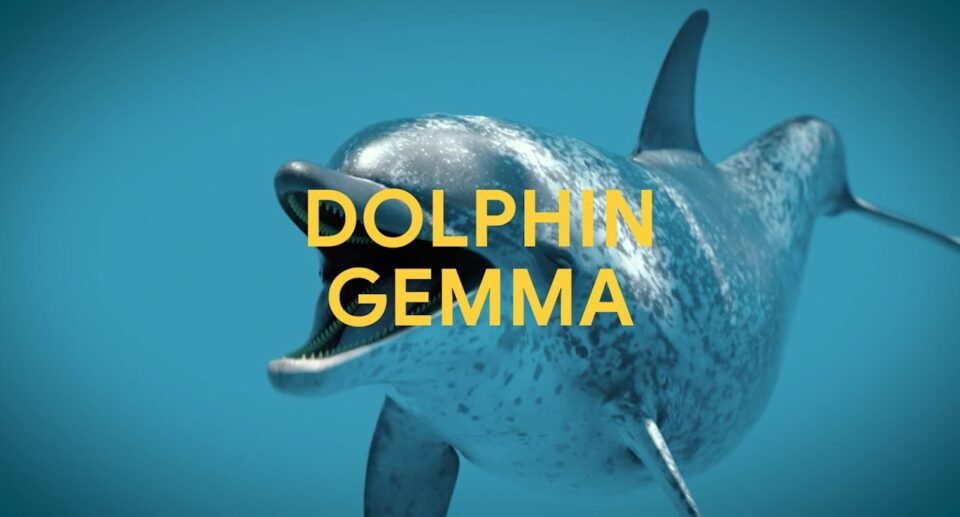 Google is using AI and Pixel phones to understand what dolphins are saying