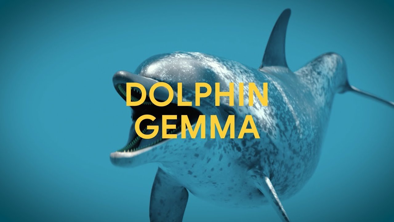 Google is using AI and Pixel phones to understand what dolphins are saying