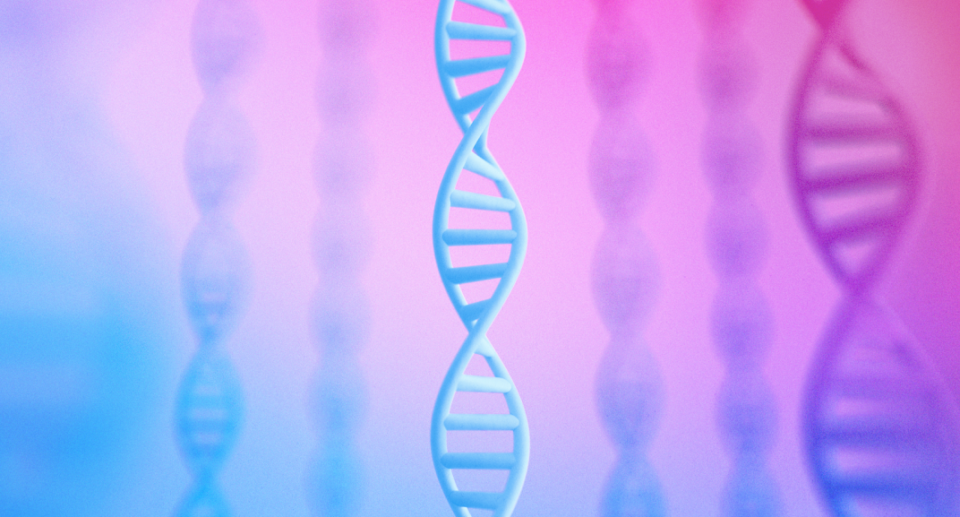 Deepmind’s AlphaGenome predicts how small DNA changes affect genes